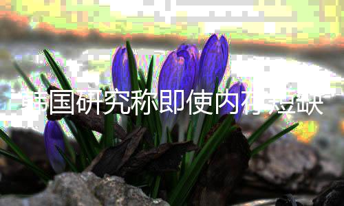 缺缓内存称即存短解 价格降研究也不韩国会下使内